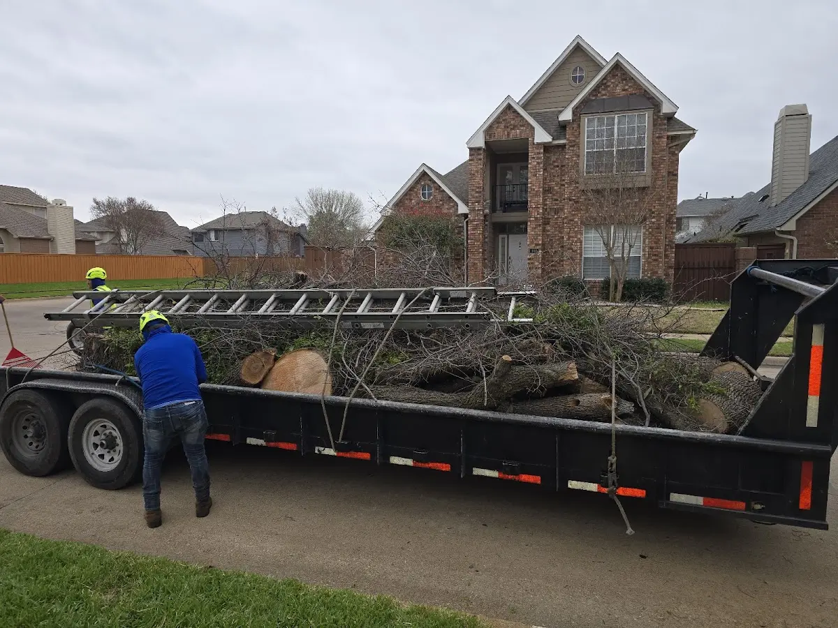 Expert Tree Fertilization with proper safety equipment in Roebuck